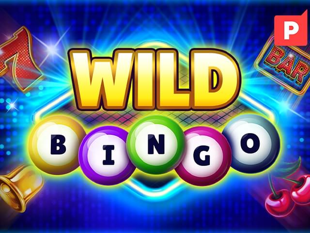916 bet Bingo Selvagem